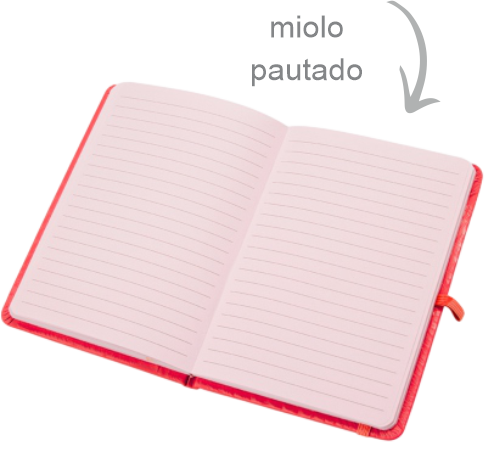 Miolo pautado da caderneta Barbados