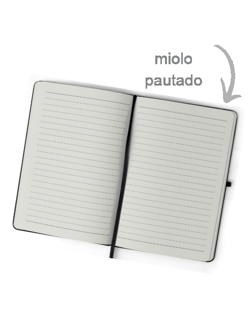 Miolo pautado da caderneta Orion