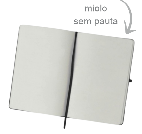 Miolo sem pauta da caderneta Zenith